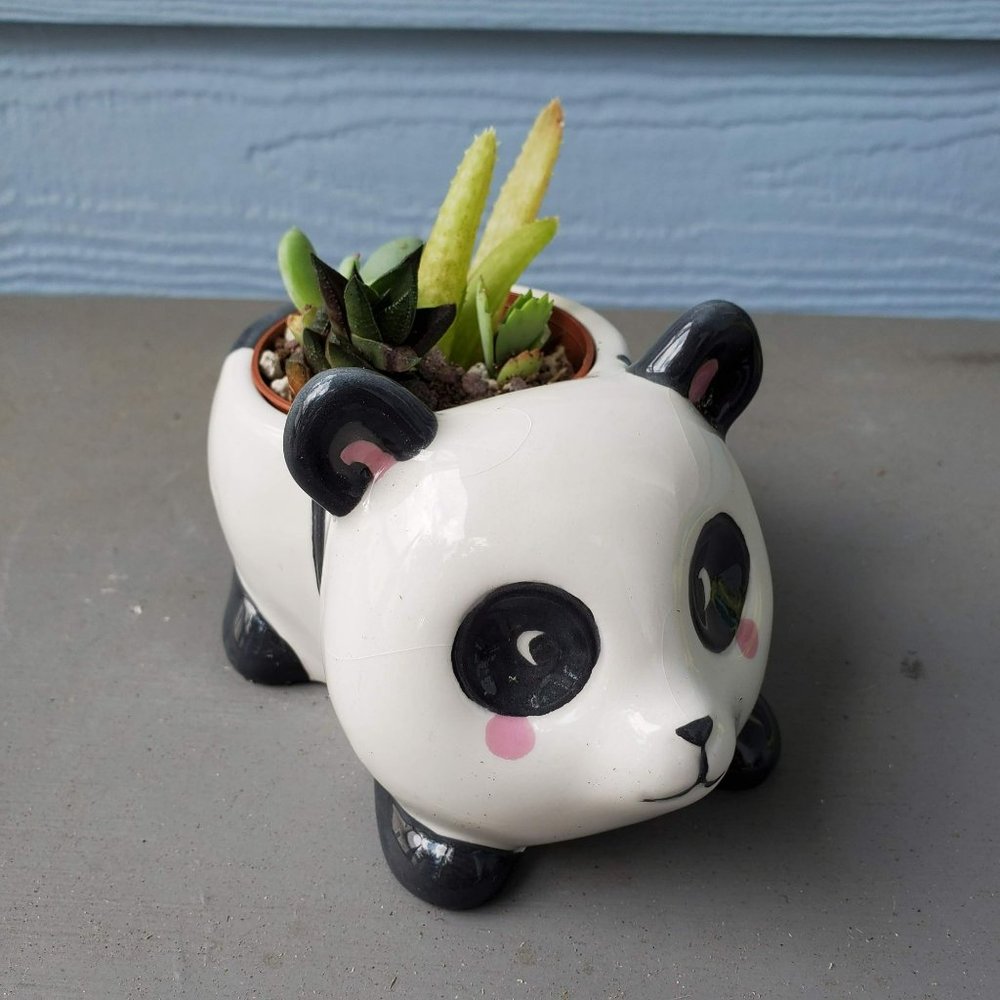 Ceramic Panda Planter, Succulent Planter, Animal Plant Pot